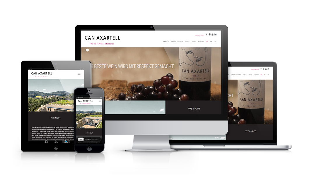 Website Responsive-showcase-Can-Axartell